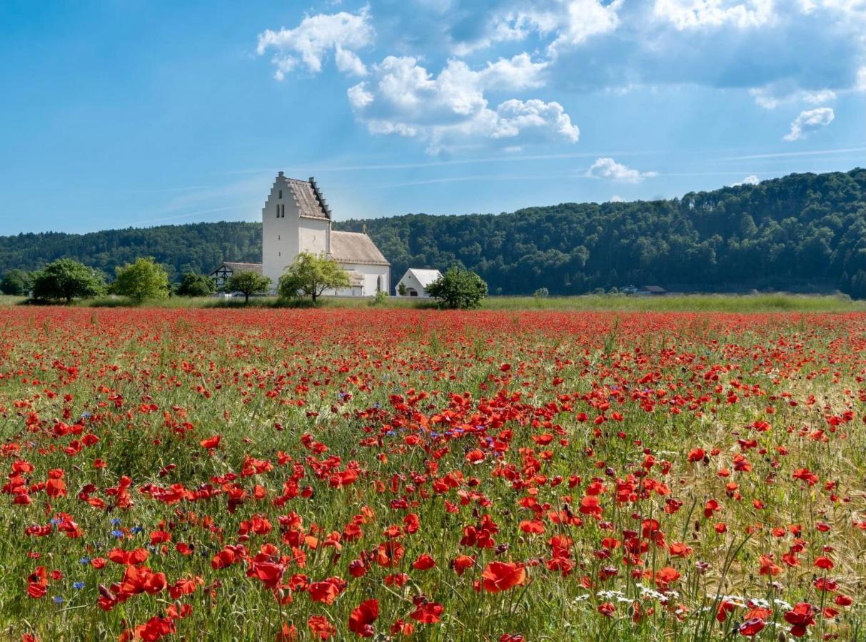 Roemercastell Wirtshaus & Hotel Bohming エクステリア 写真